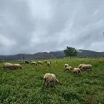 La Poza La Brana Llanes