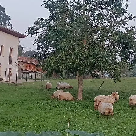 Tatil Evi La Poza La Brana *