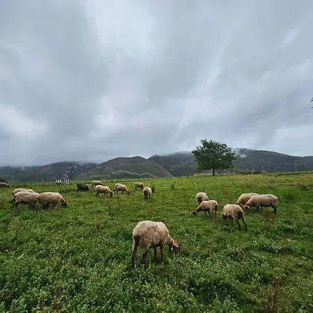 La Poza La Brana Llanes